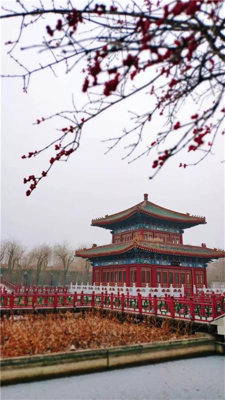 微信图片_20191225092850.jpg
