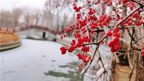 微信图片_20191225092854.jpg