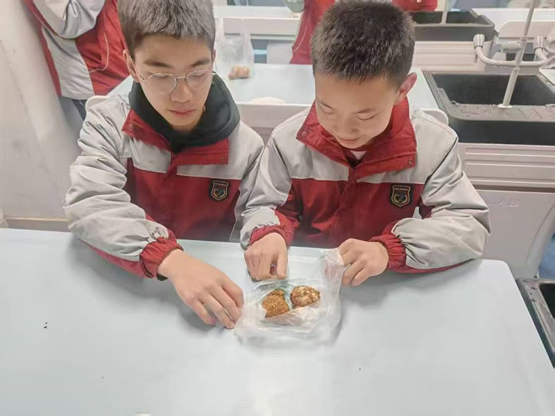 图片8_副本.jpg